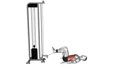 Cable Reverse Crunch