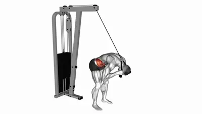 Standing Cable Crunch