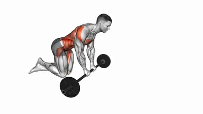 Barbell Rollout