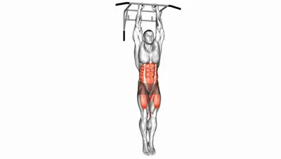 Hanging Oblique Knee Raise