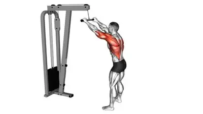 Straight Arm Pulldown
