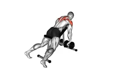 Dumbbell Chest Supported Row