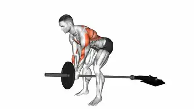 Machine Chest Supported Row