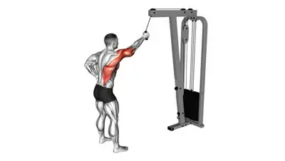 Single Arm Lat Pulldown