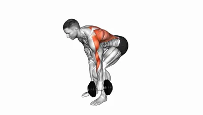 Single Arm Dumbbell Row