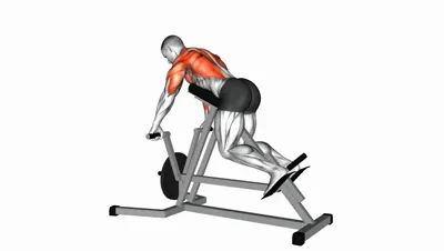 Chest Supported T-Bar Row