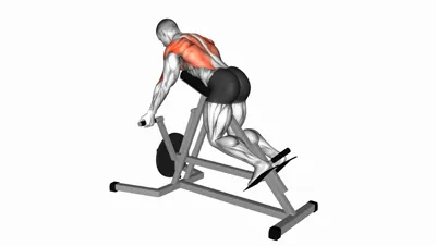 Reverse Grip T-Bar Row