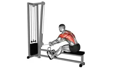 Seated Cable Row
