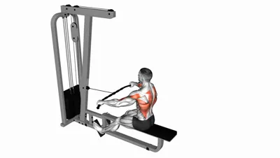 Wide Grip Seated Cable Row
