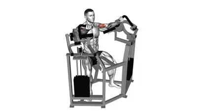 Machine Biceps Curl
