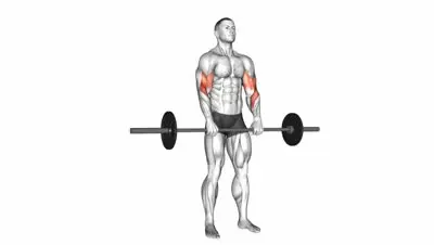Barbell Reverse Curl