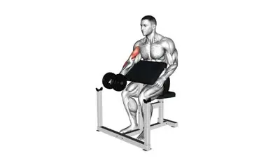 Dumbbell Preacher Curl