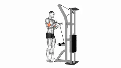 Cable EZ Bar Curl