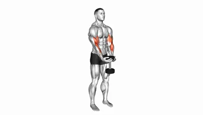 Waiter Curl