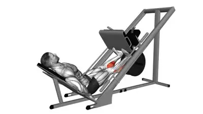 Leg Press Calf Raise