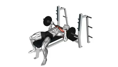 Barbell Bench Press