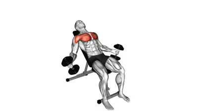 Dumbbell Chest Fly