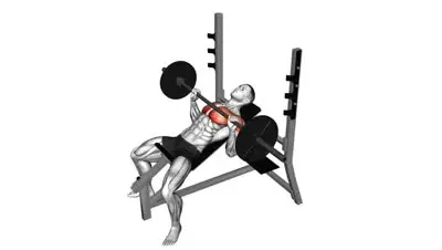 Barbell Incline Bench Press