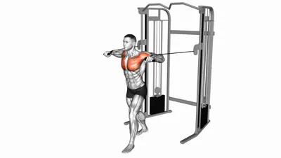 Cable Standing Chest Press