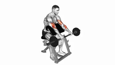 EZ Bar Reverse Preacher Curl