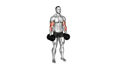 Dumbbell Reverse Curl