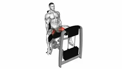 Hip Adduction