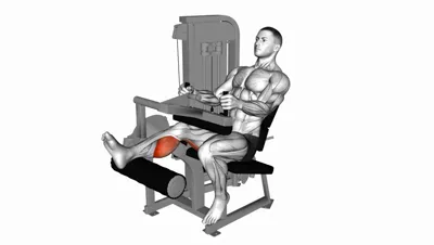 Seated Single-Leg Curl