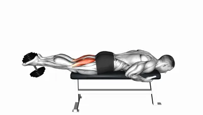 Dumbbell Lying Leg Curl