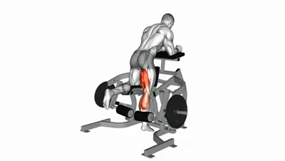 Kneeling Leg Curl