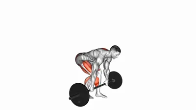 B-Stance Romanian Deadlift