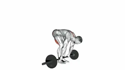 Barbell Stiff Leg Deadlift