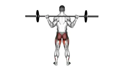 Barbell Squat