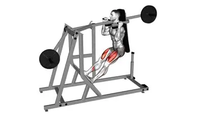 Pendulum Squat