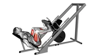 Leg Press (45°)