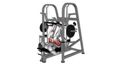 Vertical Leg Press