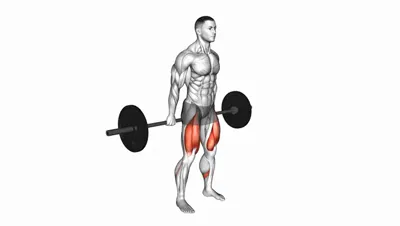 Barbell Hack Squat