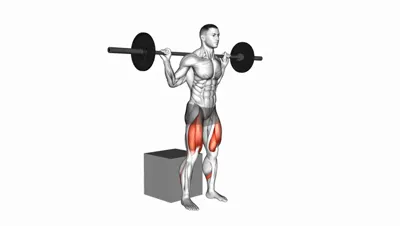 Box Squat