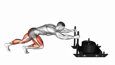Sled Push