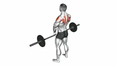 Barbell Upright Row