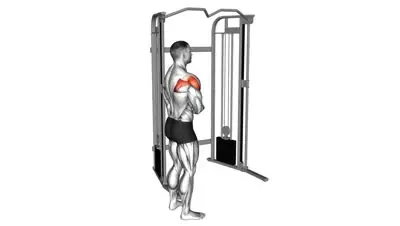 Cable External Rotation