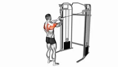 Standing Cable Reverse Fly