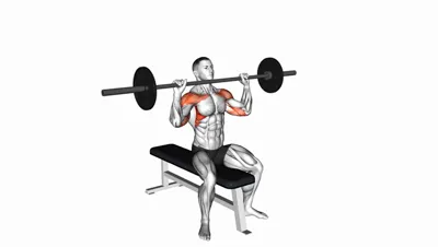 Seated Overhead Press