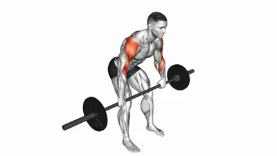 Barbell Rear Delt Row