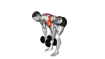 Dumbbell Rear Delt Fly