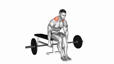 Barbell Shrugs