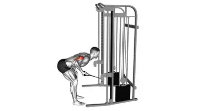 Cable Triceps Kickback