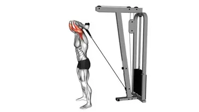 Cable Overhead Triceps Extension