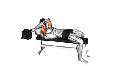 Barbell Skull Crushers